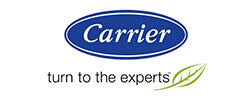 Criação de site para Carrier