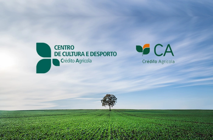 Criação de site para CCDCAM