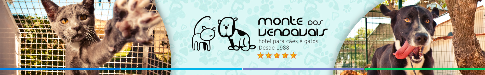 Monte dos Vendavais - Hotel para Cães e Gatos