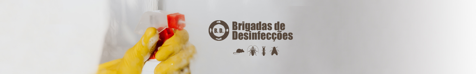 Brigadas de Desinfecções